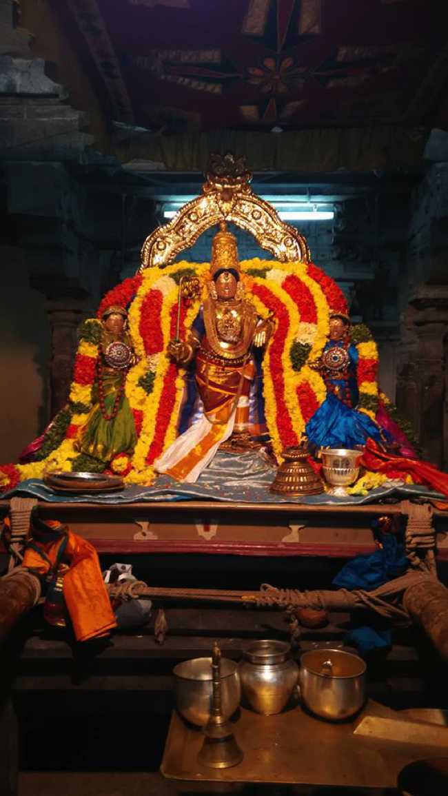 Mannargudi-Sri-Rajagopalaswamy_01