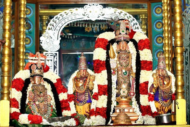 Mylapore SVDD Srinivasa Perumal Temple Manmadha Varusha Navarathiri Utsavam10
