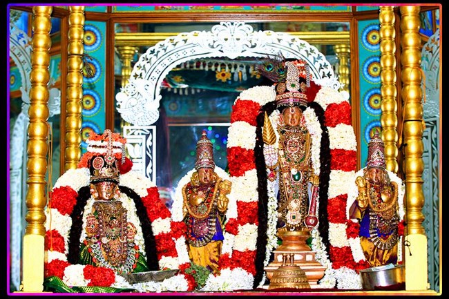 Mylapore SVDD Srinivasa Perumal Temple Manmadha Varusha Navarathiri Utsavam11