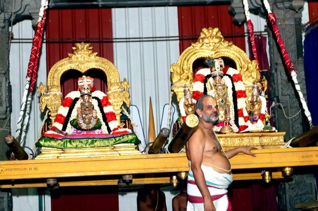 Mylapore SVDD Srinivasa Perumal Temple Manmadha Varusha Navarathiri Utsavam13