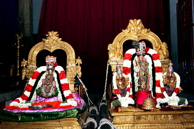 Mylapore SVDD Srinivasa Perumal Temple Manmadha Varusha Navarathiri Utsavam26