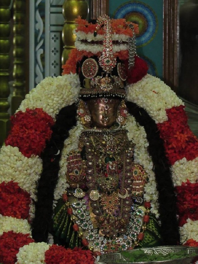 Mylapore SVDD Srinivasa Perumal Temple Manmadha Varusha Navarathiri Utsavam28