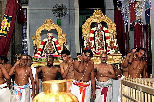 Mylapore SVDD Srinivasa Perumal Temple Manmadha Varusha Navarathiri Utsavam29