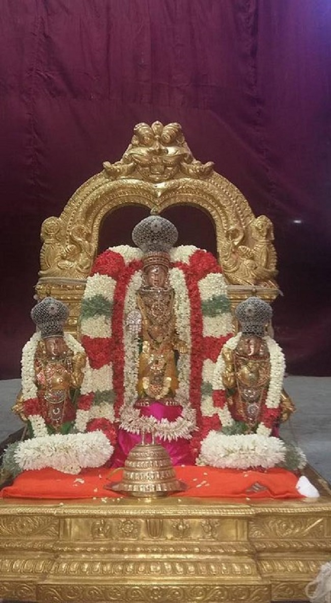 Mylapore SVDD Srinivasa Perumal Temple Manmadha Varusha Navarathiri Utsavam30