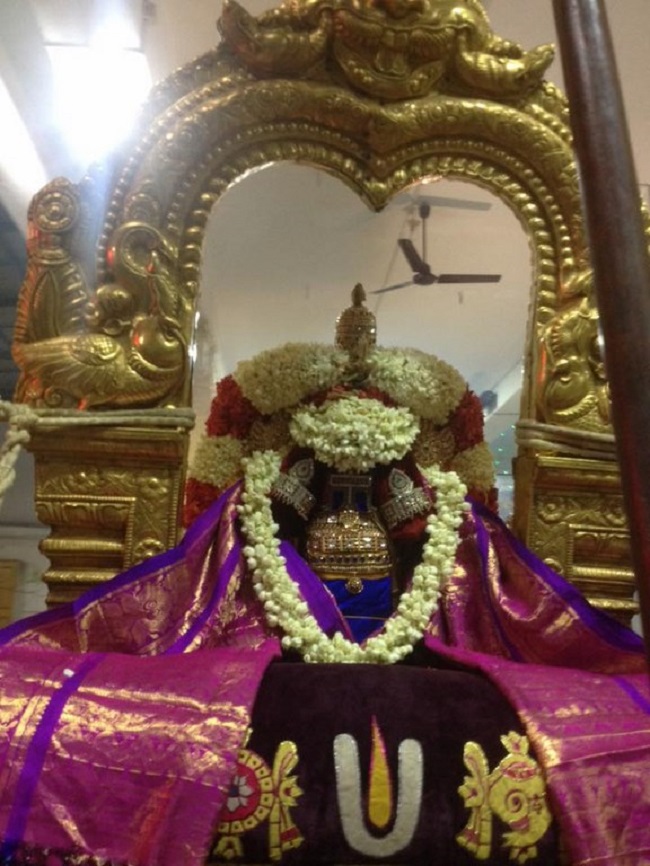 Mylapore SVDD Srinivasa Perumal Temple Manmadha Varusha Navarathiri Utsavam4