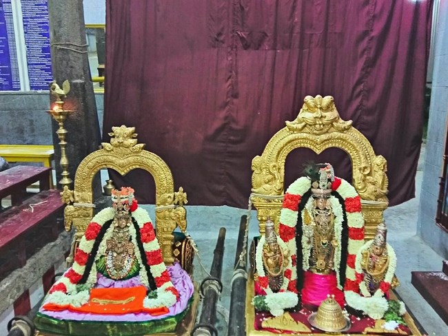Mylapore SVDD Srinivasa Perumal Temple Manmadha Varusha Navarathiri Utsavam6