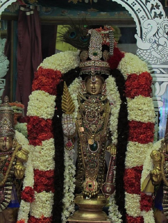 Mylapore SVDD Srinivasa Perumal Temple Manmadha Varusha Navarathiri Utsavam8