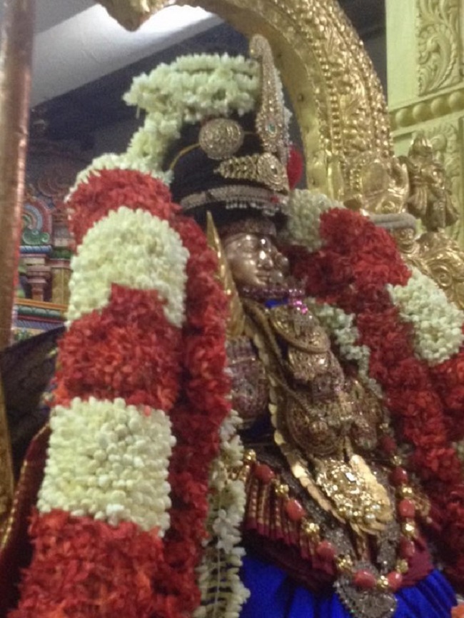 Mylapore SVDD Srinivasa Perumal Temple Manmadha Varusha Navarathiri Utsavam9