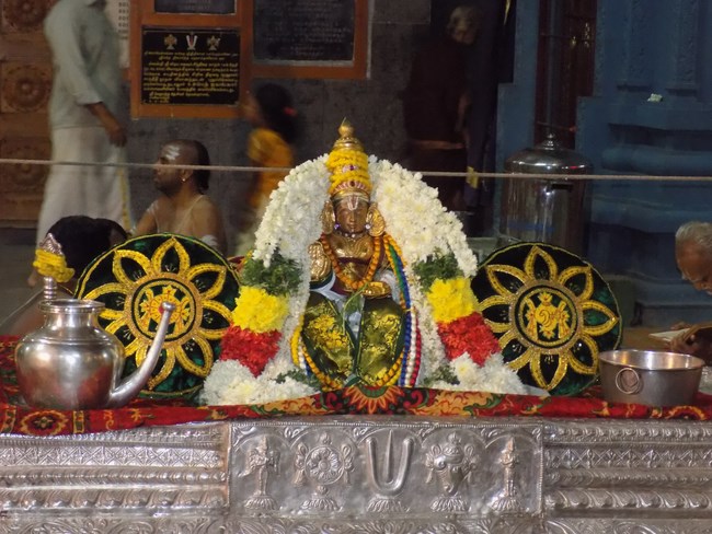 Mylapore SVDD Srinivasa Perumal Temple Manmadha Varusha Pavithrotsavam10