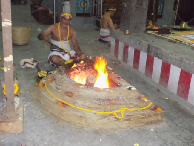 Mylapore SVDD Srinivasa Perumal Temple Manmadha Varusha Pavithrotsavam11
