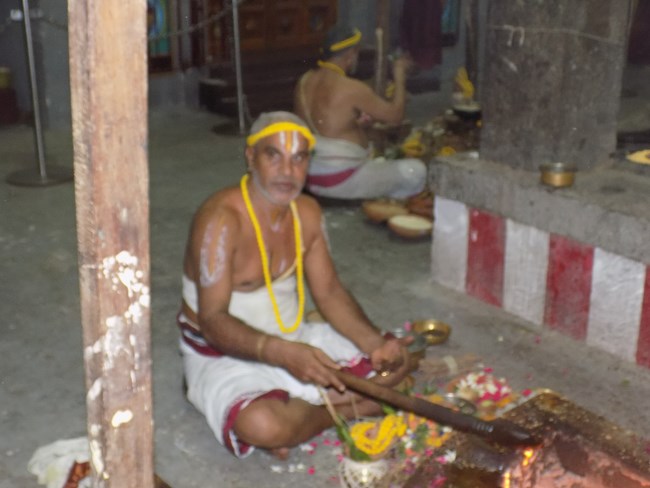Mylapore SVDD Srinivasa Perumal Temple Manmadha Varusha Pavithrotsavam12