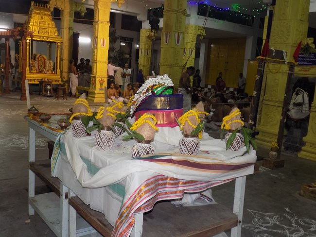 Mylapore SVDD Srinivasa Perumal Temple Manmadha Varusha Pavithrotsavam13