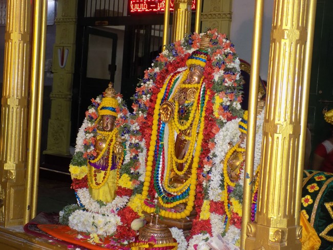 Mylapore SVDD Srinivasa Perumal Temple Manmadha Varusha Pavithrotsavam13