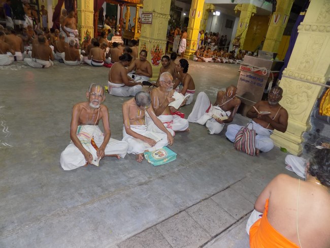 Mylapore SVDD Srinivasa Perumal Temple Manmadha Varusha Pavithrotsavam1