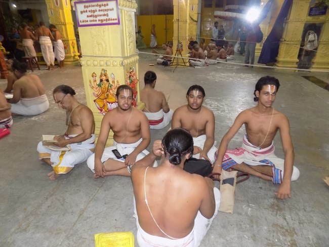 Mylapore SVDD Srinivasa Perumal Temple Manmadha Varusha Pavithrotsavam3