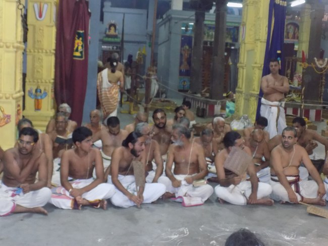 Mylapore SVDD Srinivasa Perumal Temple Manmadha Varusha Pavithrotsavam4
