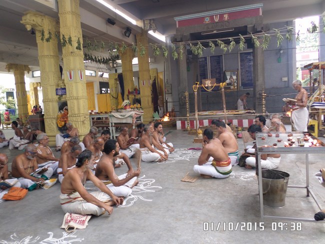 Mylapore SVDD Srinivasa Perumal Temple Manmadha Varusha Pavithrotsavam5