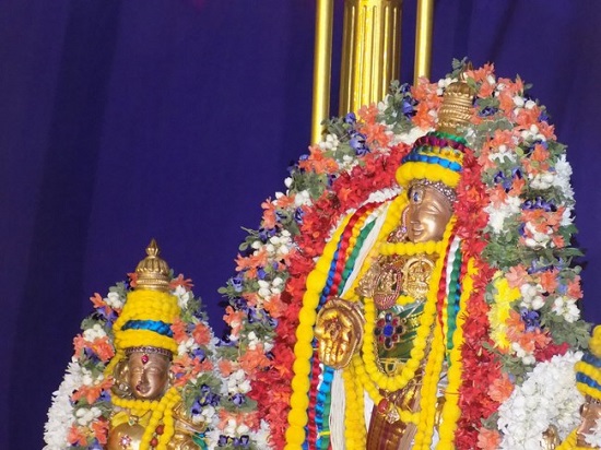 Mylapore SVDD Srinivasa Perumal Temple Manmadha Varusha Pavithrotsavam5