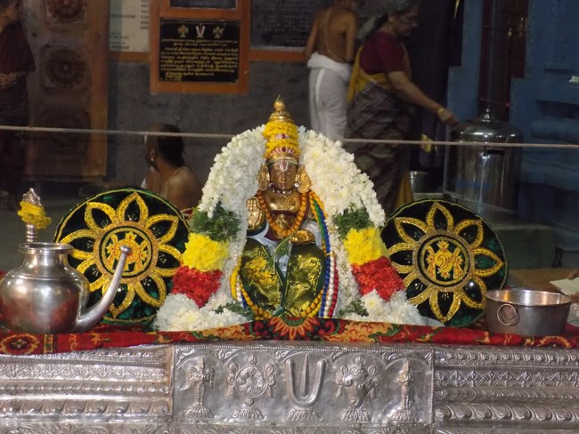 Mylapore SVDD Srinivasa Perumal Temple Manmadha Varusha Pavithrotsavam7