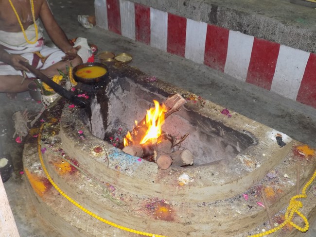 Mylapore SVDD Srinivasa Perumal Temple Manmadha Varusha Pavithrotsavam8