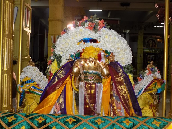 Mylapore SVDD Srinivasa Perumal Temple Manmadha Varusha Pavithrotsavam9