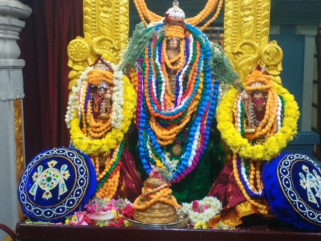 Nanganallur Sri Lakshmi Hayavadhana Perumal Temple Manmadha Varusha Thiru Pavithrotsavam3