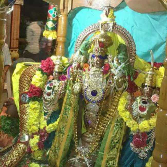Punjai-Puliampatti-Karivaradharaja-Swamy.11