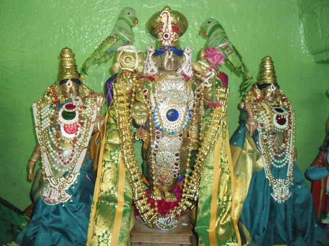 Punjai-Puliampatti-Karivaradharaja-Swamy.12