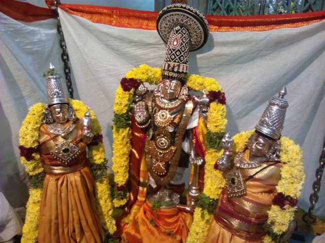 Selam-Varadharaja-Perumal_00