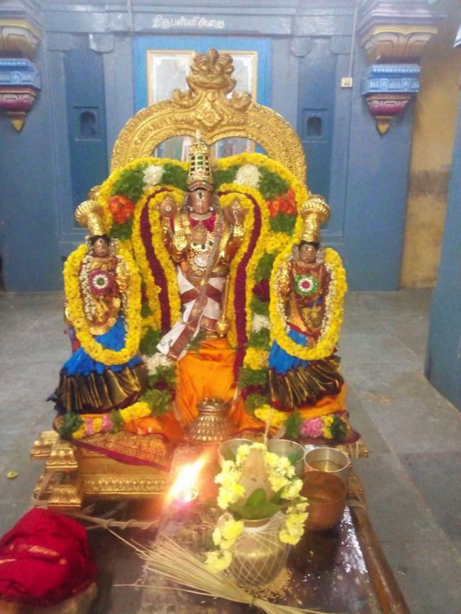 Sirupuliyur-Sri-Krupasamudra-Perumal_06
