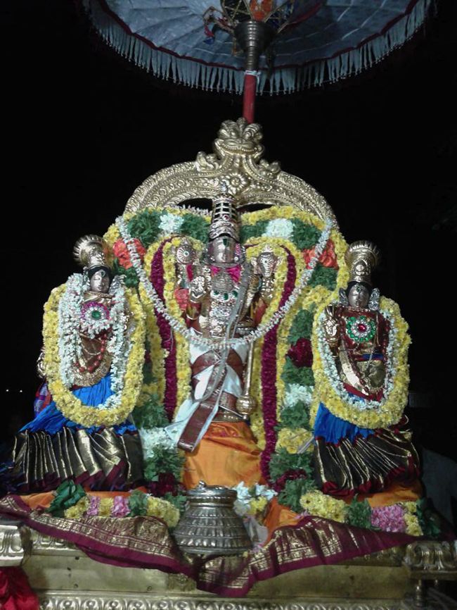 Sirupuliyur-Sri-Krupasamudra-Perumal_07
