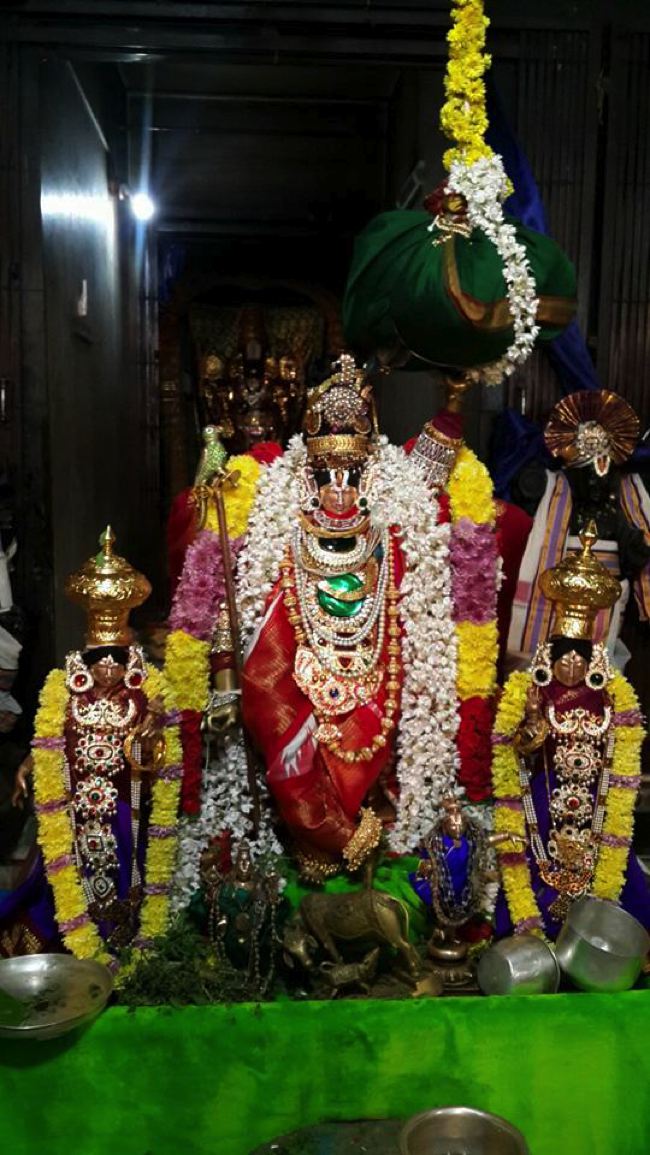 Sripuram-Sri-Venkateswara-Sannidhi_02