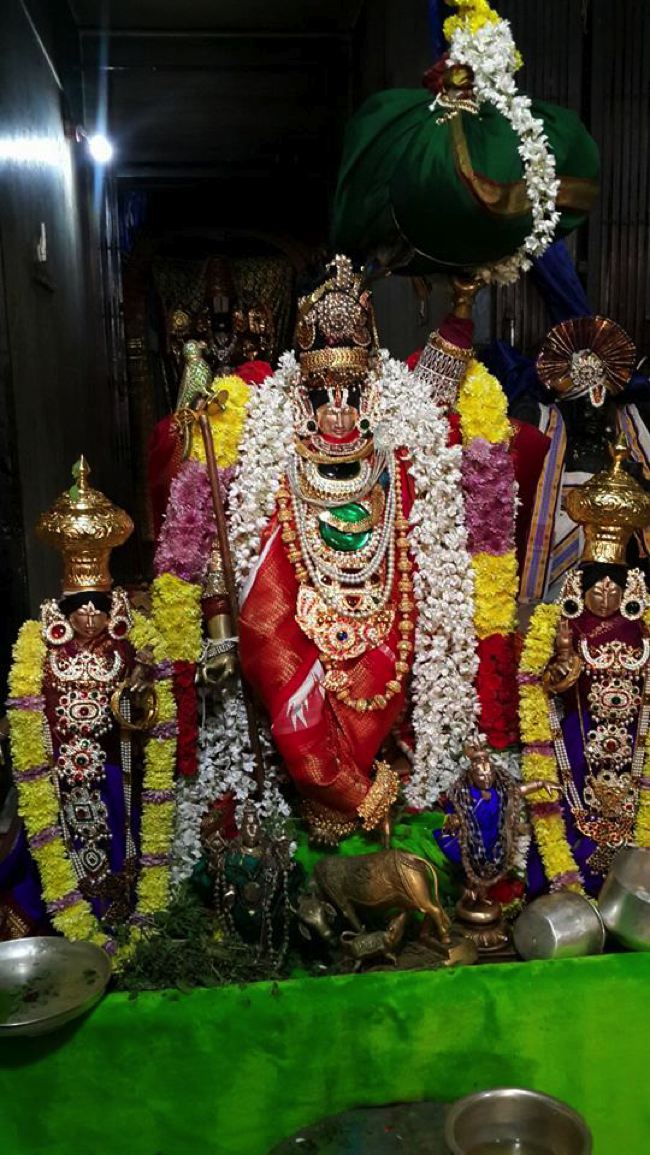 Sripuram-Sri-Venkateswara-Sannidhi_05