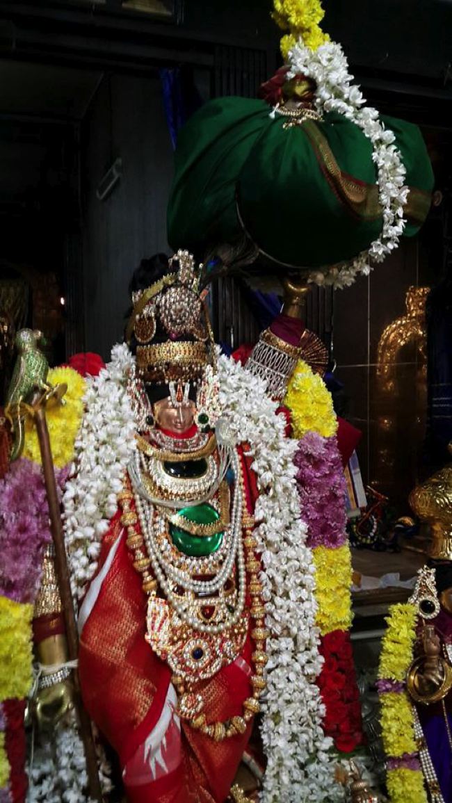 Sripuram-Sri-Venkateswara-Sannidhi_07