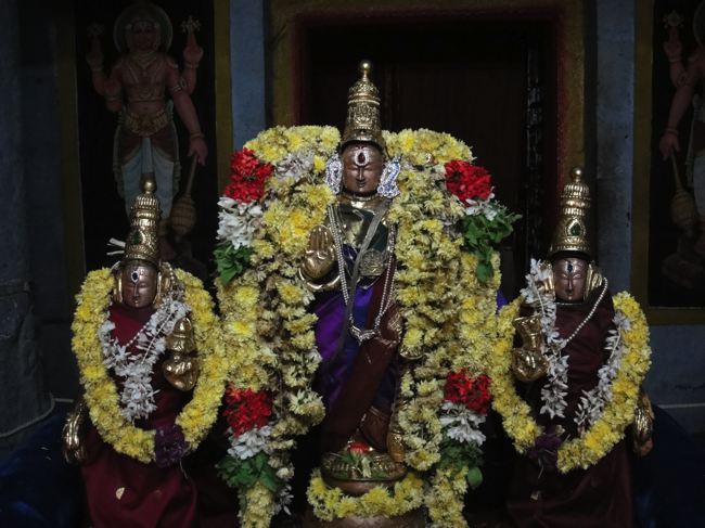Thirupadagam-Pandava-Doota-Perumal_03