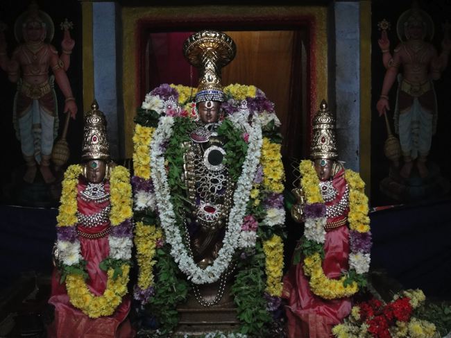 Thirupadagam-Pandava-Doota-Perumal_06