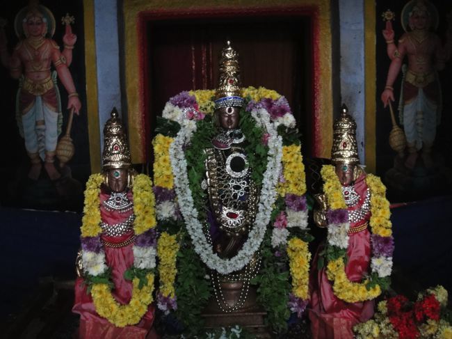 Thirupadagam-Pandava-Doota-Perumal_11