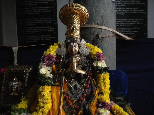 Thirupadagam-Pandava-Doota-Perumal_13