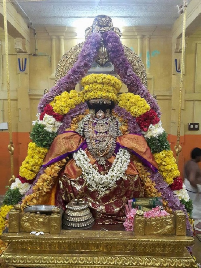 Thiruvahindrapuram Sri Devanathan Perumal Temple Manmadha Varusha Karthigai Sravana Purappadu1