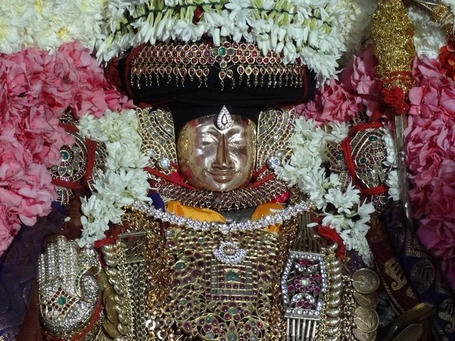 Thiruvahindrapuram Sri Devanathan Perumal Temple Manmadha Varusha Navarathiri Utsavam Maha Navami9