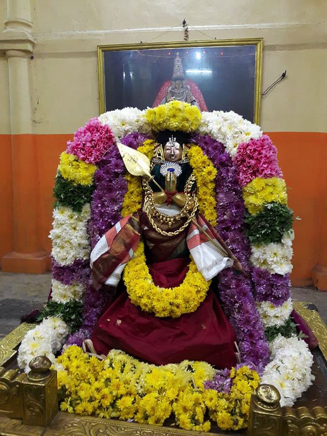 Thiruvahindrapuram-Sri Devanathan-Perumal_04