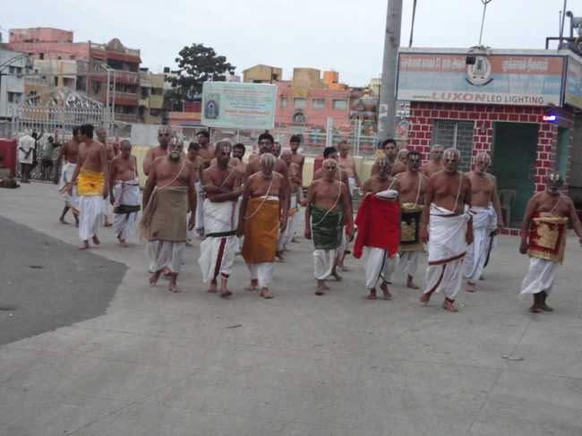 Thiruvallikeni-Sri-Parthasarathy-Swamy_10