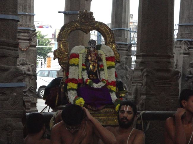 Thiruvallikeni-Sri-Parthasarathy-Swamy_16