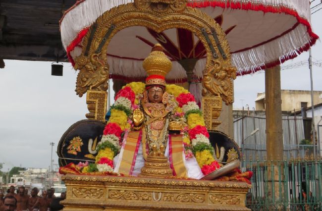 Thoopul Swami Desikan Karthikai Sravana Purappadu 2015-03.jpg