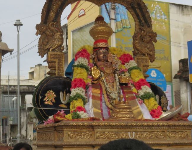 Thoopul Swami Desikan Karthikai Sravana Purappadu 2015-04.jpg