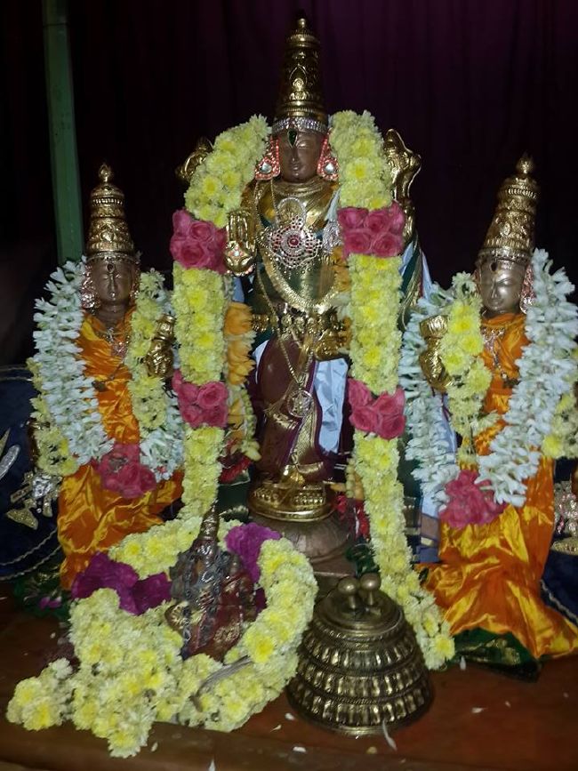 Thoopul Swami Desikan Karthikai Sravanam asthanam 2015-3.jpg