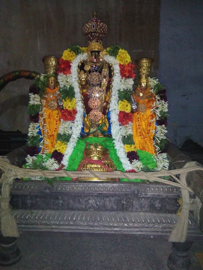 Vanamamalai-Sri-Deivanayaga-Perumal_12