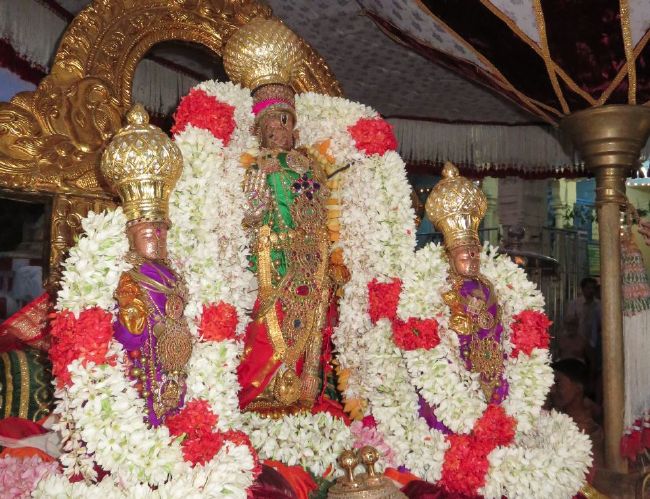kanchi Sri Devaperumal sannadhi  Karthikai Sravanam purappadu 2015-02.jpg