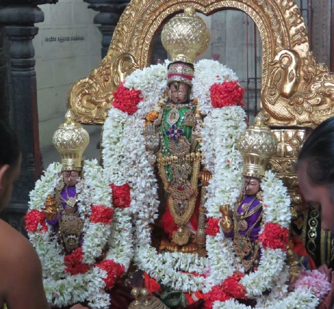 kanchi Sri Devaperumal sannadhi  Karthikai Sravanam purappadu 2015-13.jpg