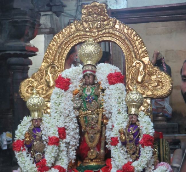 kanchi Sri Devaperumal sannadhi  Karthikai Sravanam purappadu 2015-14.jpg